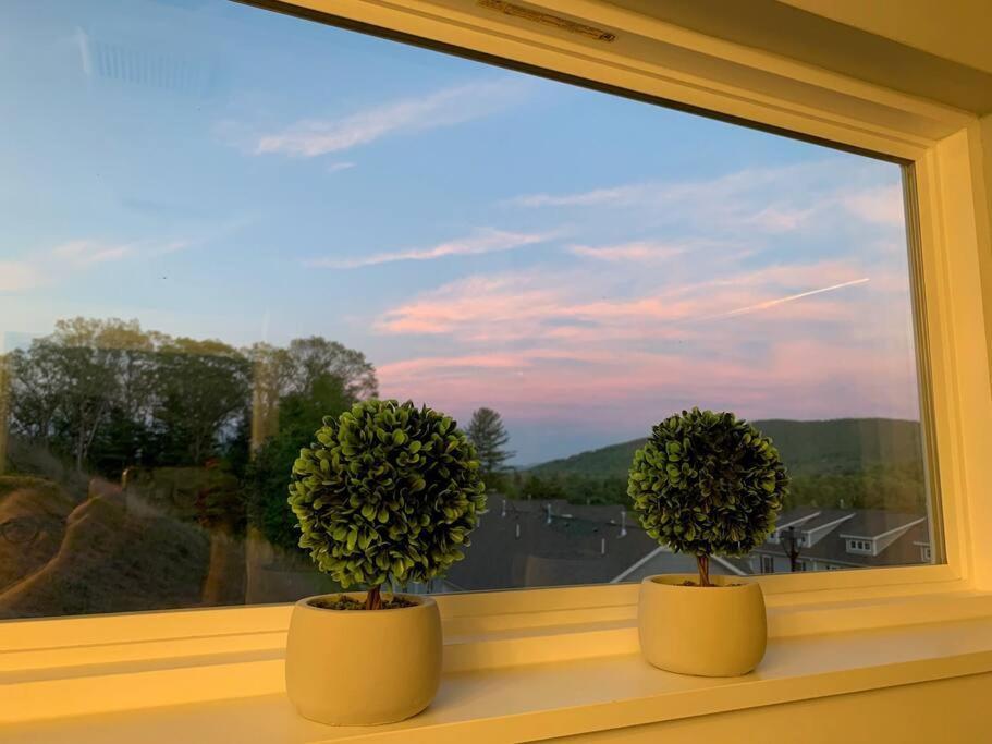 Candler Newly Built Townhome Close To The Asheville Sites المظهر الخارجي الصورة
